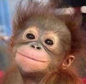 Meet your Posher, Bre